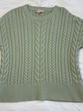 Philosophy Sage Green Cable Knit Crewneck Sweater